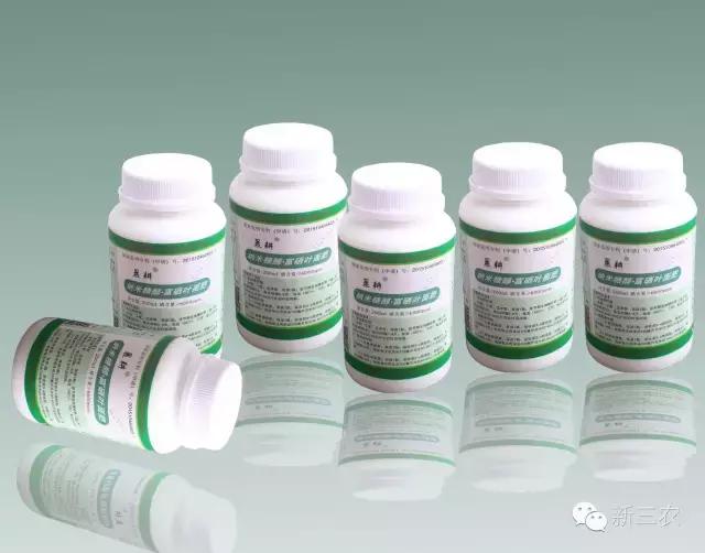 晚熟品种富硒黄梨,今年的黄梨丰收不丰收