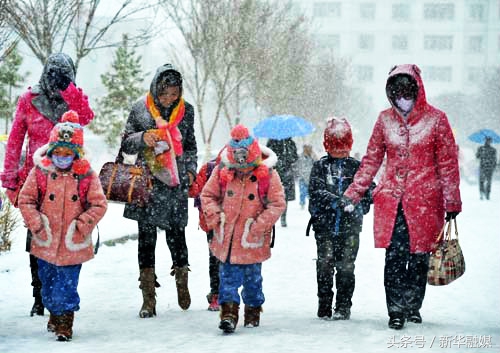 零下40度到底冷吗,零下40度有多冷人不会冻住吗