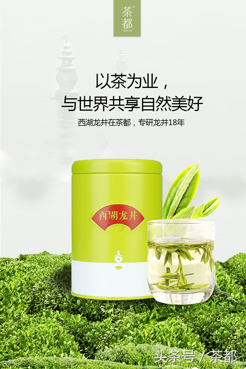 茶不能和哪些食物一起食用,茶可以和什么食物一起吃