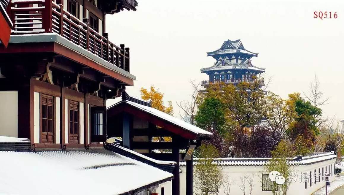 雪中宿迁,素颜都美到窒息!