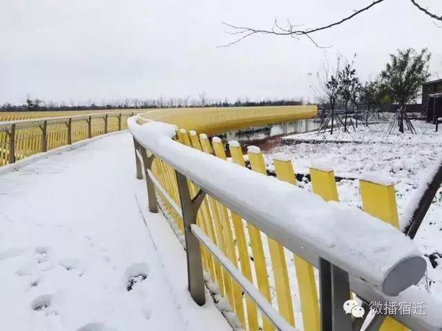 雪中宿迁,素颜都美到窒息!