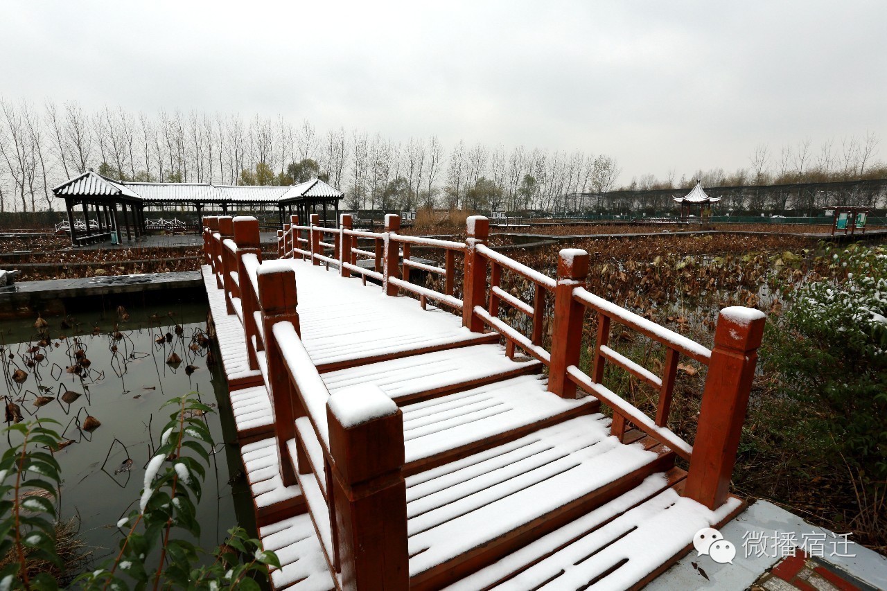 雪中宿迁,素颜都美到窒息!