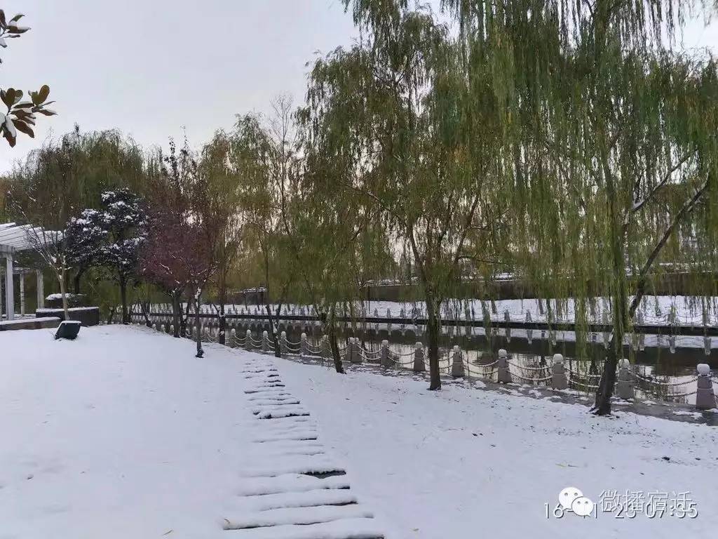 雪中宿迁,素颜都美到窒息!