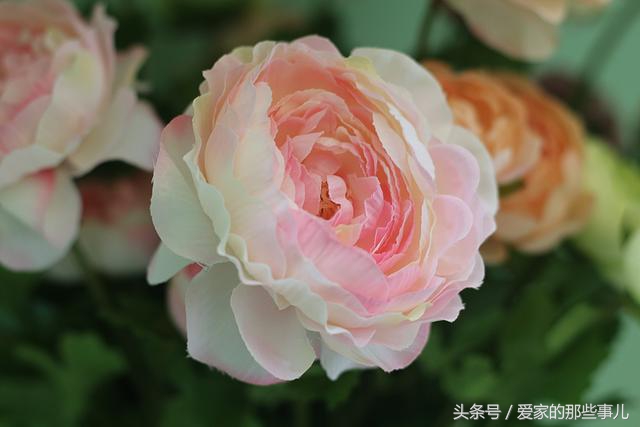 混搭风格的家庭装修,100种现代简约美式装修风格