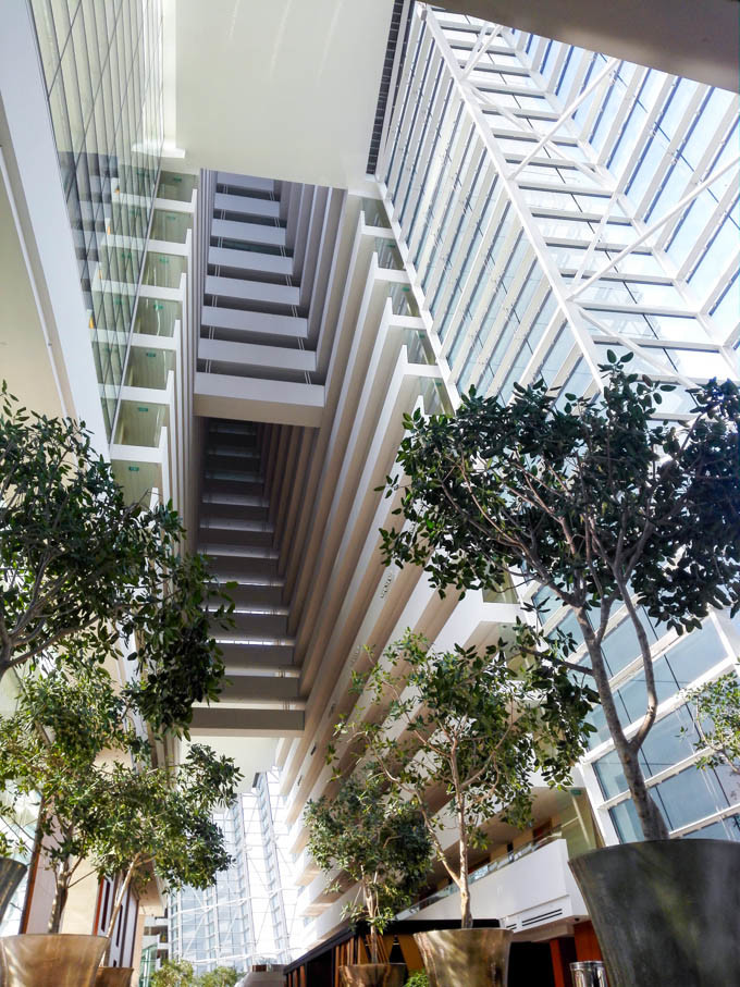 去新加坡,如果你有预算,建议至少去金沙酒店住一晚