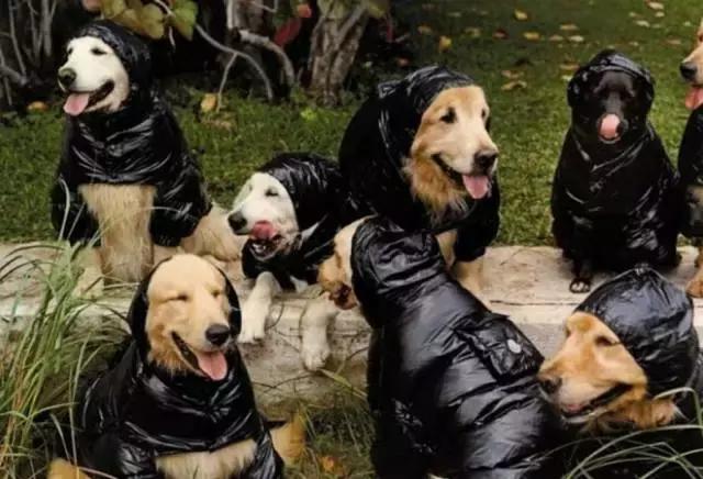 遇上一个风不正经的冬天，是时候来膜拜一下羽绒服界的杠把子了