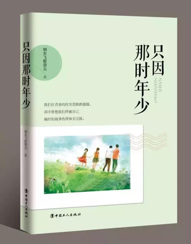 7080后青春史诗，长垣本土小说《只因那时年少》人物小传