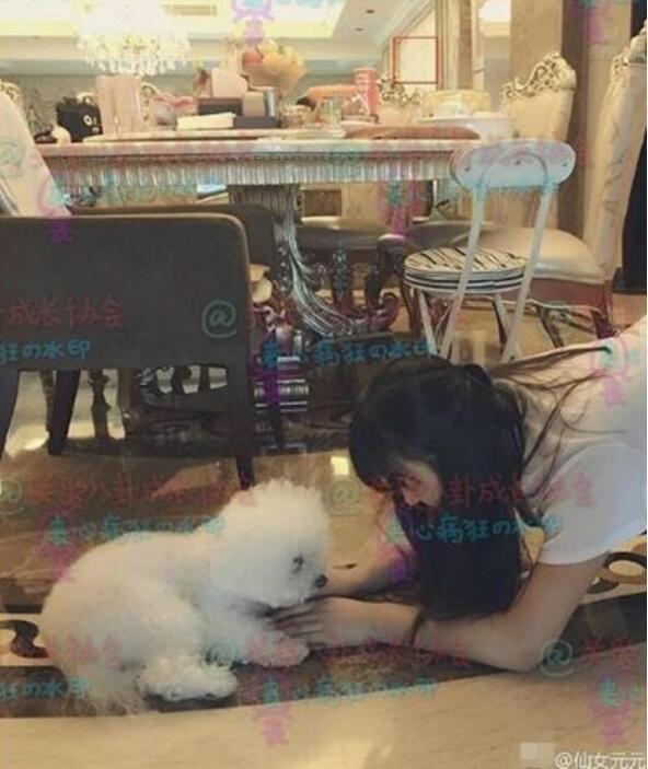 明星的房子都是怎么装修的,全球明星豪宅内部装修视频