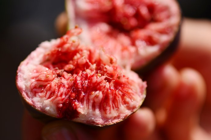 最漂亮的无花果树,高清无花果美图