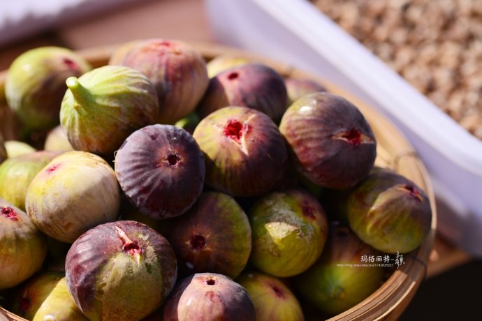 最漂亮的无花果树,高清无花果美图