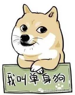 鍚勫浗鐣欏鐢熶紭鍔垮拰鍔e娍,鍚勫浗鐣欏鐢熺浉浜蹭笌鐩哥埍