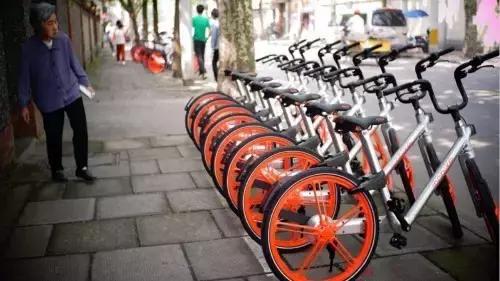 免费单车共享,单车和汽车共享