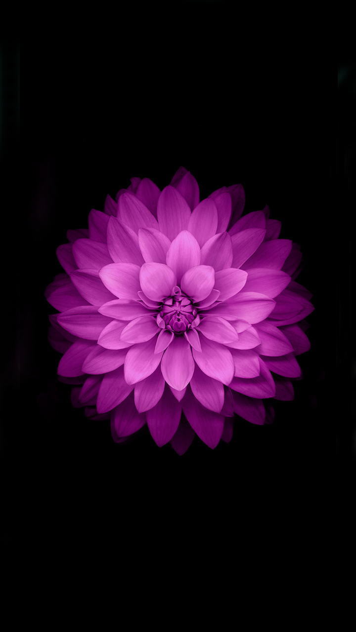 閰锋瘮halo澶栬,閰锋瘮halo鍥剧墖