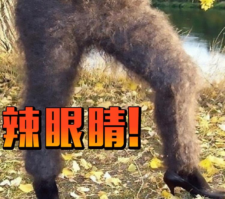 还在穿秋裤?这里有10个保暖又貌美的连裤袜品牌