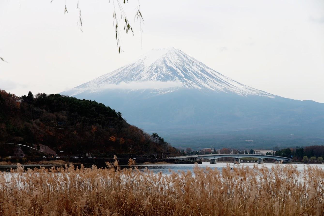 手绘旅行日记四年级图文,手绘研学旅行日记