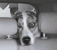 最新抽检面膜不合格上了黑榜辣!你用的有没有上榜呢?