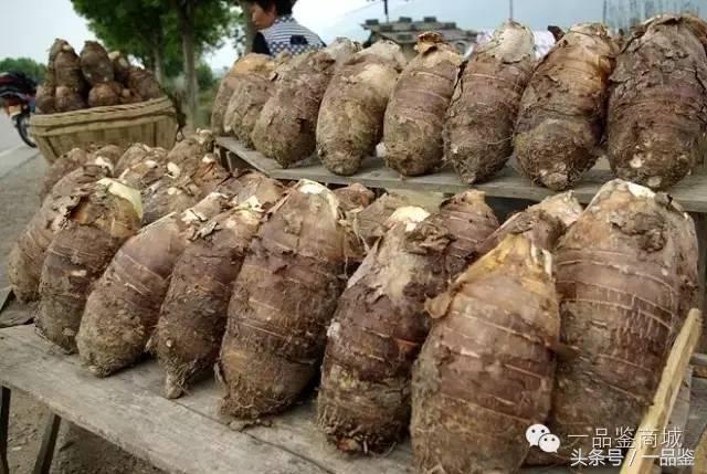 广西能拿得出手的特产,广西是个很好的地方