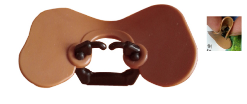 给鸡戴眼镜教程,怎样才能让土鸡毛色亮