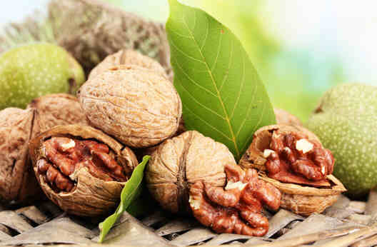 一味中药熬粥 (80岁老中医煮粥方子)