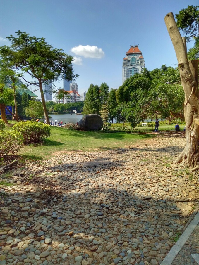 离开睁眼闭眼看见的城市,来到十一月小清新的厦门