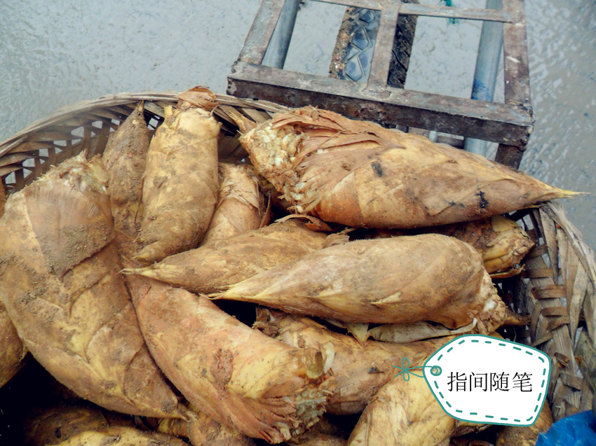 冬天冬笋有哪些做法,吃冬笋的季节这样做味道非常鲜美