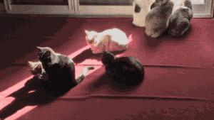 合肥未来五年重大利好,合肥十大利好