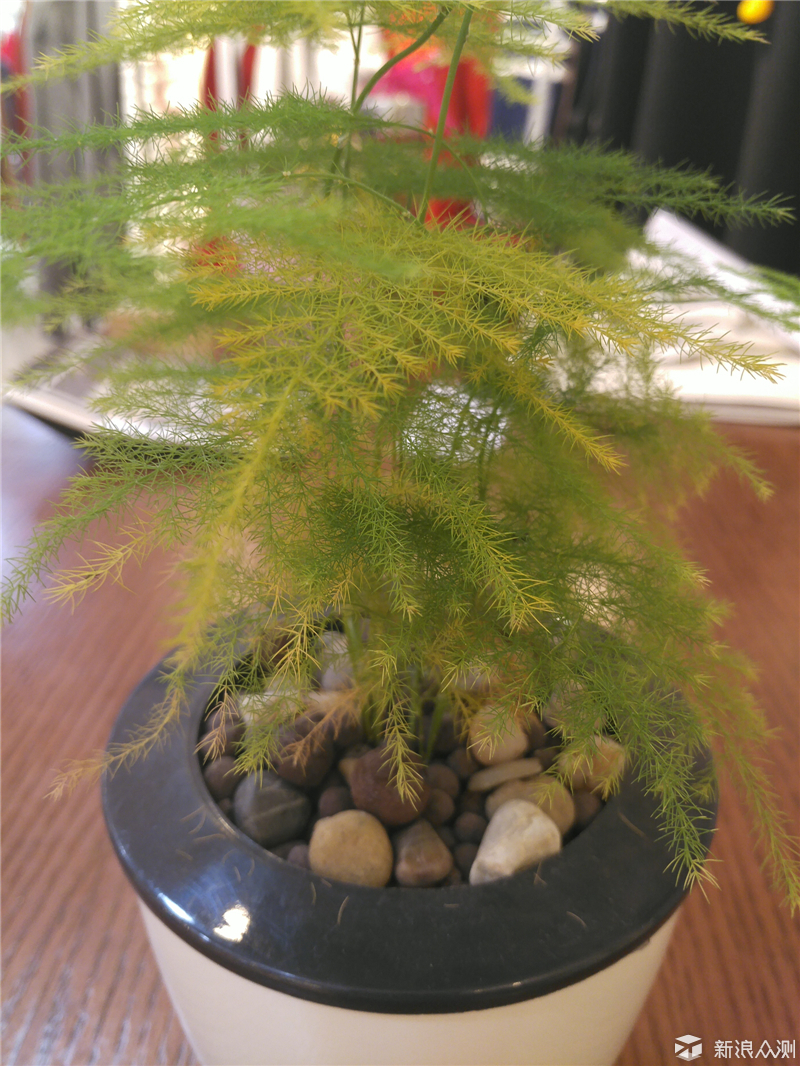 锤子m1是双扬声器吗,锤子m1刚出时多少钱