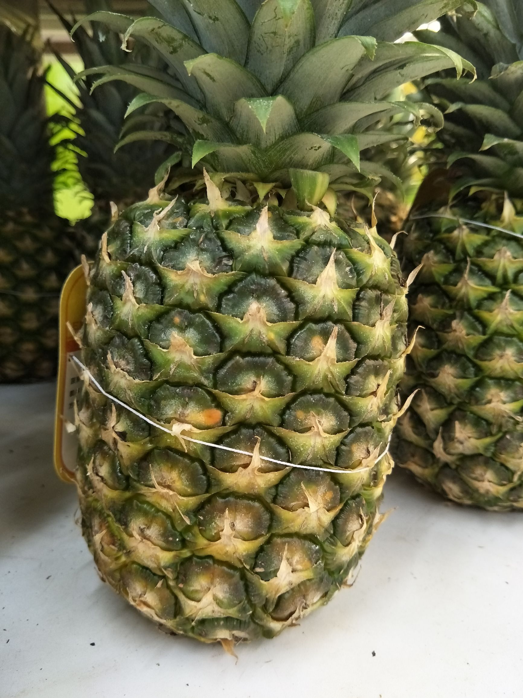 oppopad值不值得入手,oppor9s到底值不值得入手