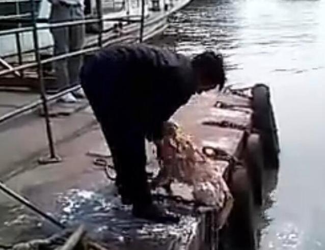 主人给狗狗洗澡溅一身水,男子给狗狗洗澡吹毛