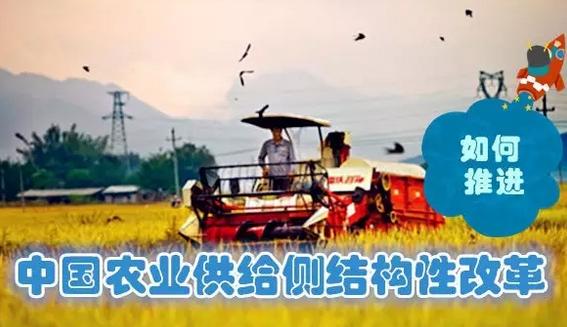 分析生猪养殖前景,丁磊养猪一年出栏多少头