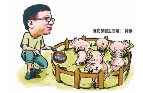 分析生猪养殖前景,丁磊养猪一年出栏多少头