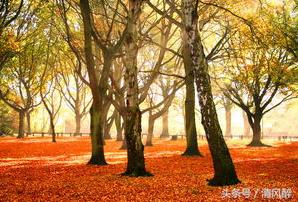 也许我不怕伤，才念念不忘