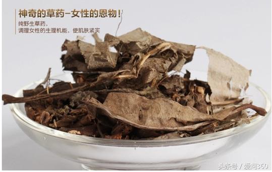 卡琪花蒂玛具体功效和价值揭秘