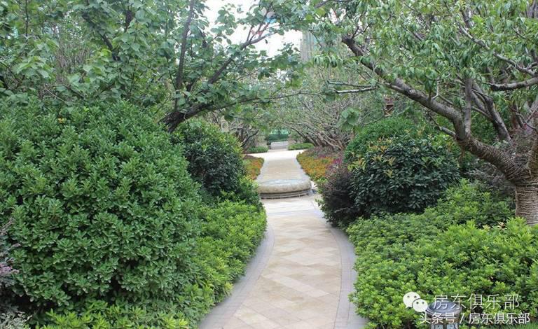 郑州南龙湖得房率100的楼盘,新郑市南龙湖有新开发楼盘信息