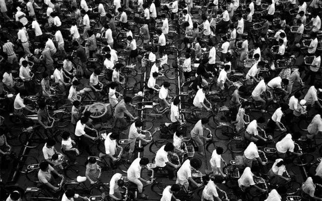 免费单车共享,单车和汽车共享