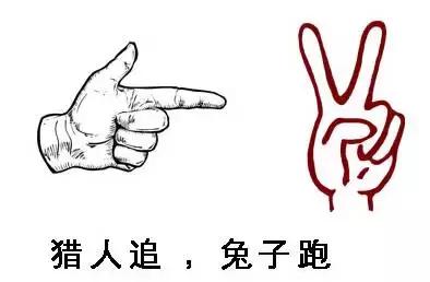 别让脑子进水啦！这样的个人爱好会让你面临牢狱之灾！