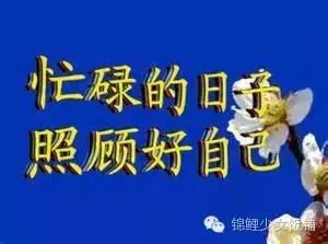 芥末山葵辣根的味道差别,日本的芥末到底是山葵还是辣根