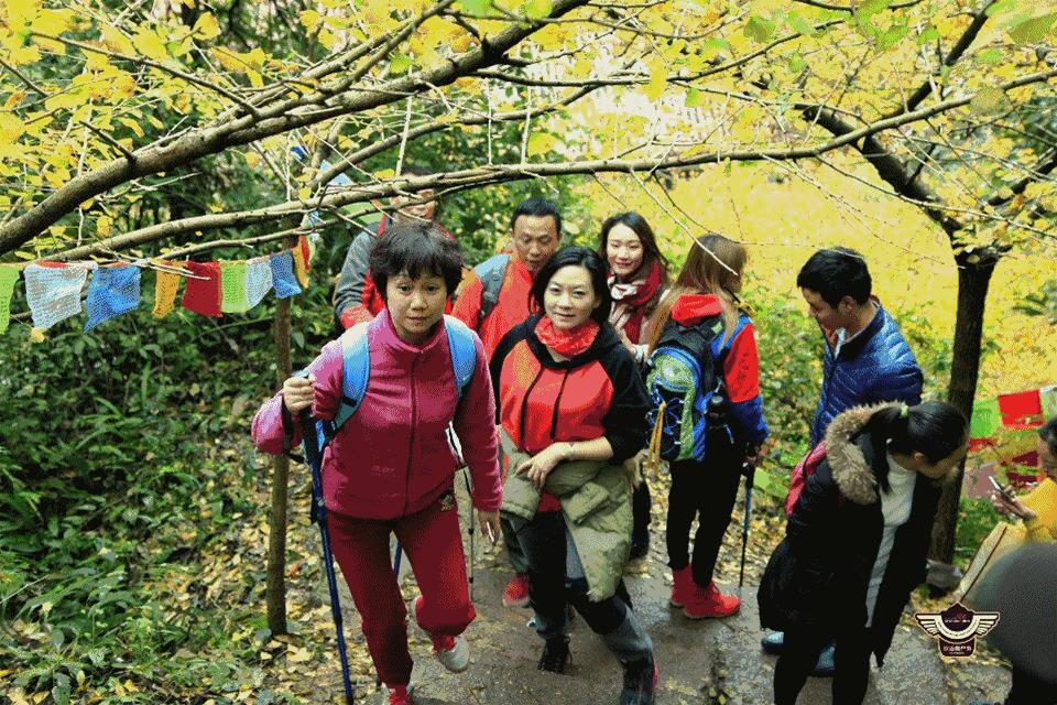 成都春季户外好去处,成都今年最火的地方在哪里