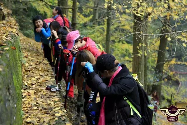 成都春季户外好去处,成都今年最火的地方在哪里