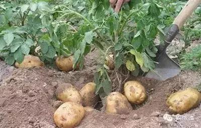 我叫齐齐哈尔请多多关照