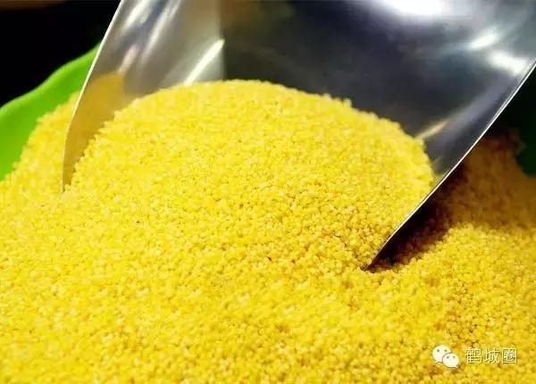 我叫齐齐哈尔请多多关照