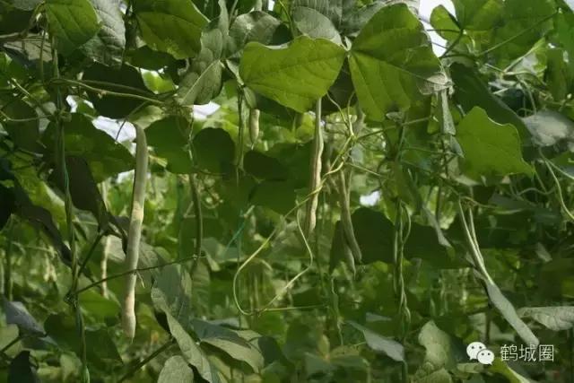 我叫齐齐哈尔请多多关照