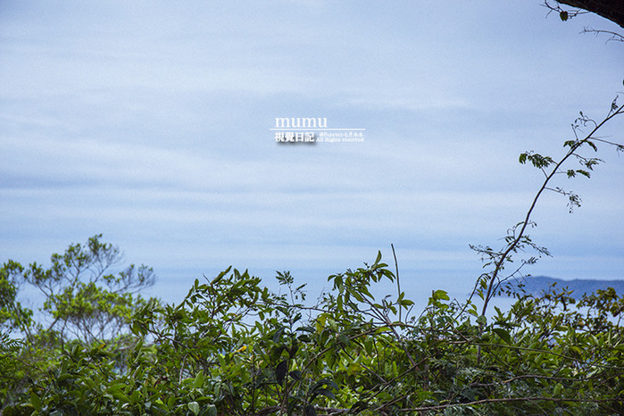 三亚第一市场怎么选海鲜,三亚第一市场海鲜在三亚哪个位置