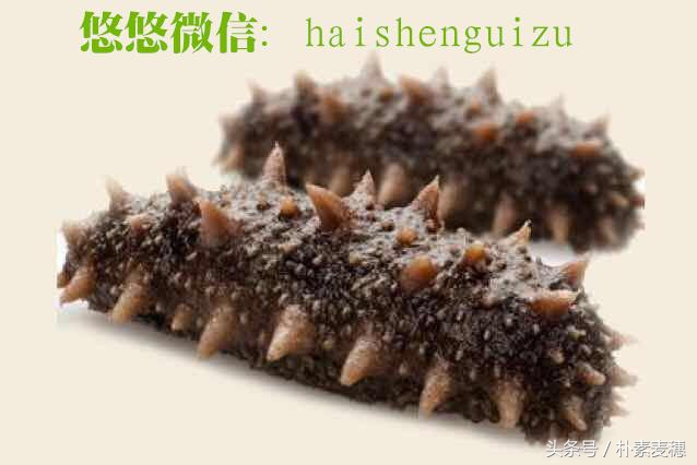 鱼胶燕窝鱼翅海参鲍鱼,燕窝鱼翅海参鲍鱼还有哪些