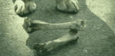 30秒教你学会跳街舞,教你一秒学会的街舞