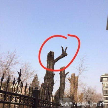 男朋友让我讲笑话,男朋友给我讲笑话是什么意思