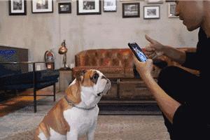 鏃犻檺绗﹀彿logo璺戦瀷,鍙互鍙樻崲logo鐨勯瀷