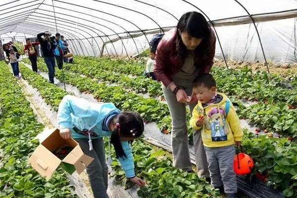 上海周边的农家乐推荐,推荐上海周边地区小众景点农家乐