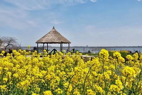 上海周边的农家乐推荐,推荐上海周边地区小众景点农家乐