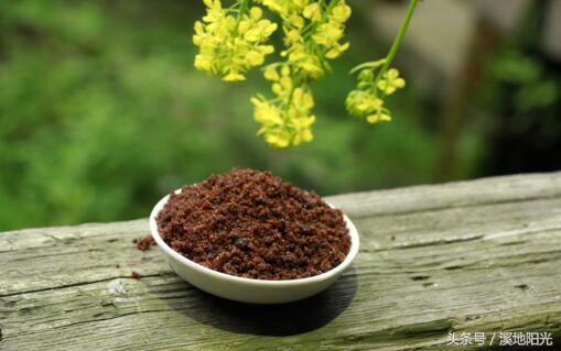 你吃过红糖吗,真正红糖图片大全